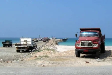 Socotra Yotas.jpg