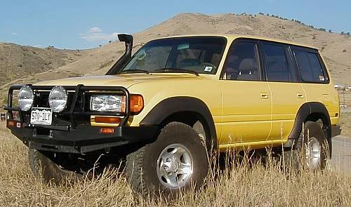 sof_yellow.jpg