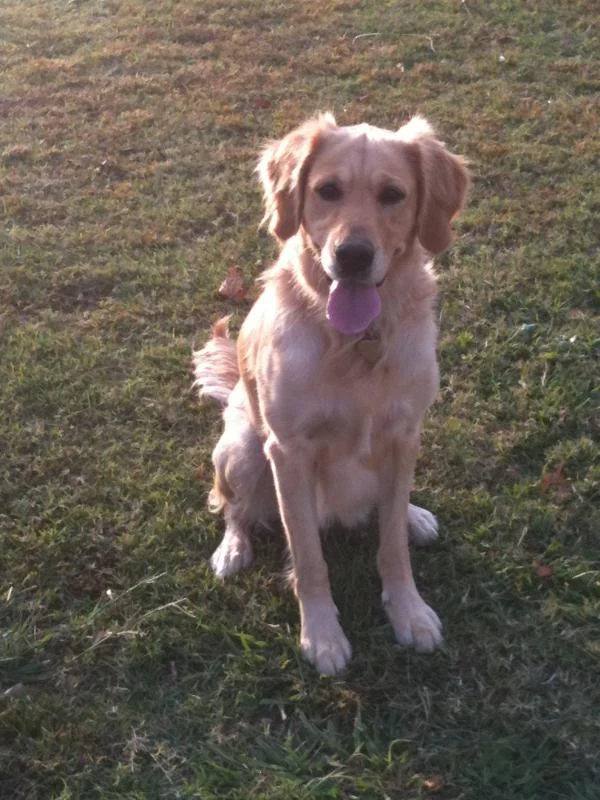 sophie.webp