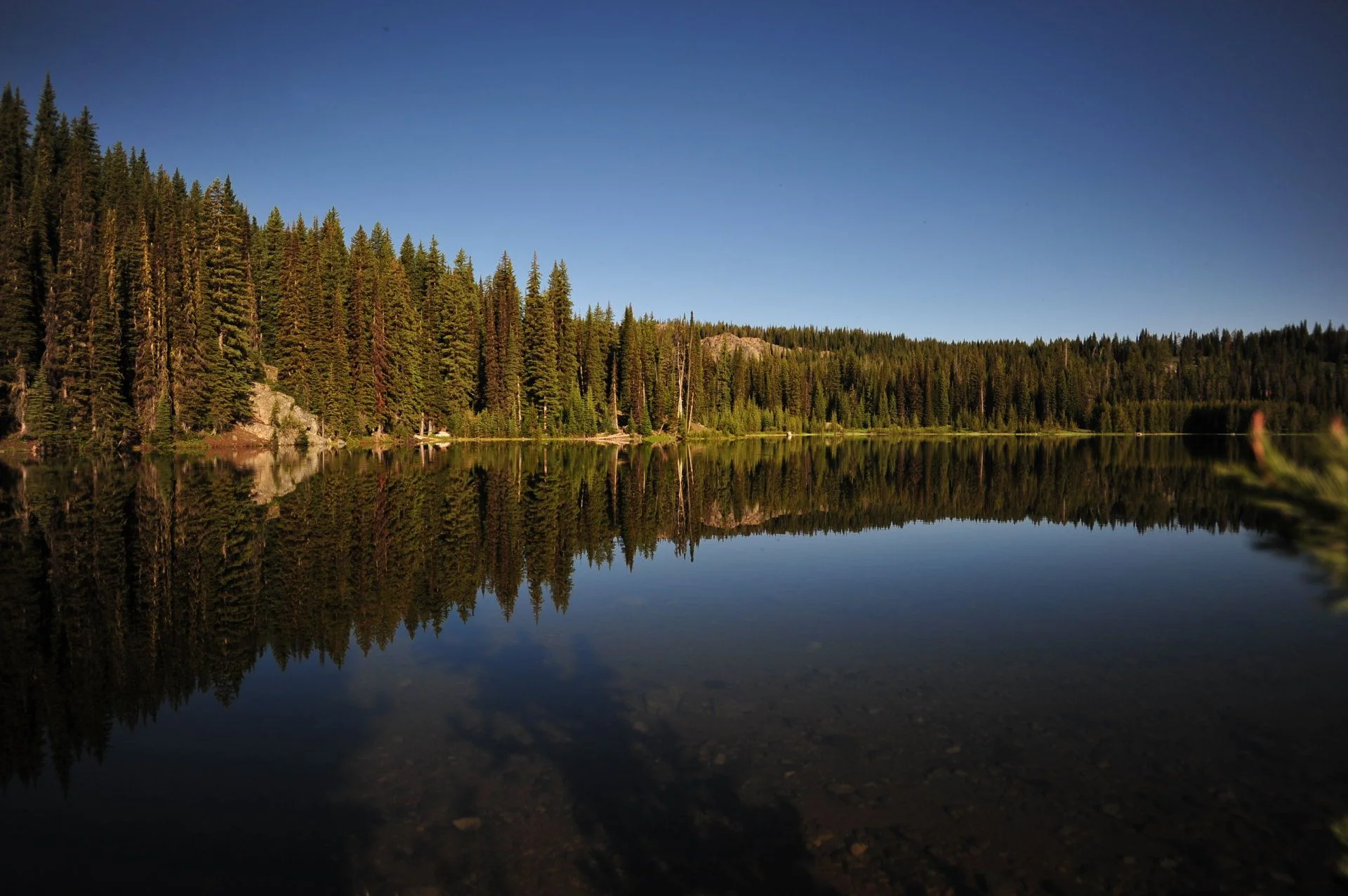 SPB_0741.webp