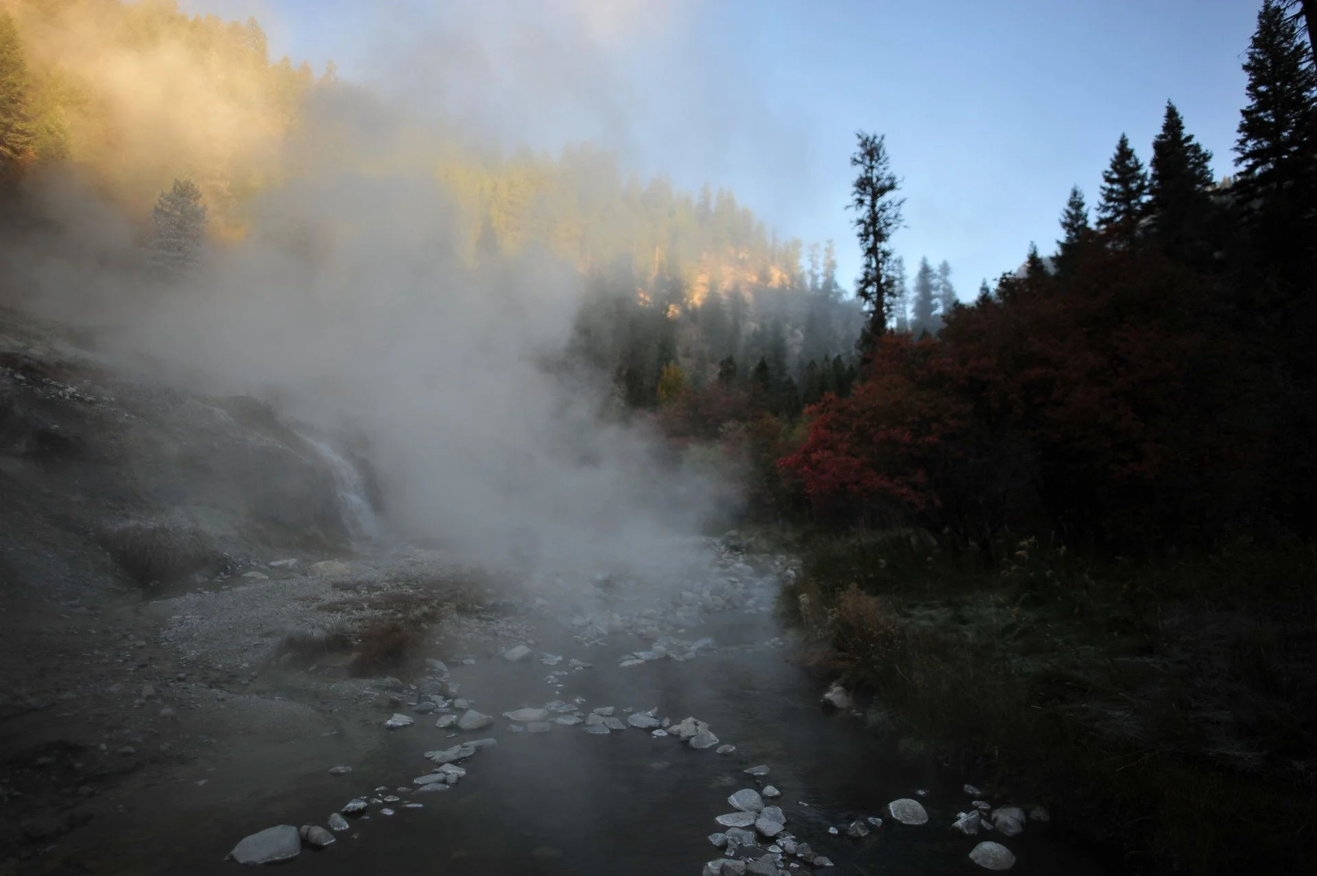 SPB_2094.webp