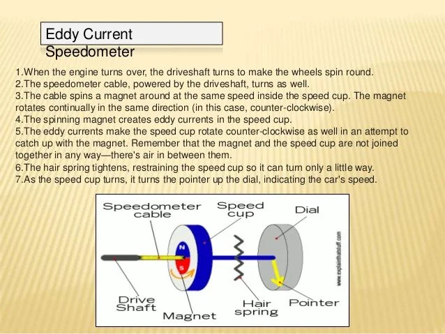 speedo how it works.webp