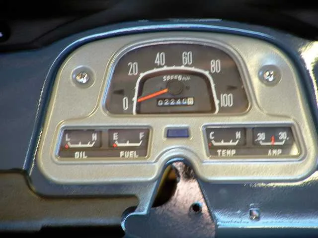 speedo.webp