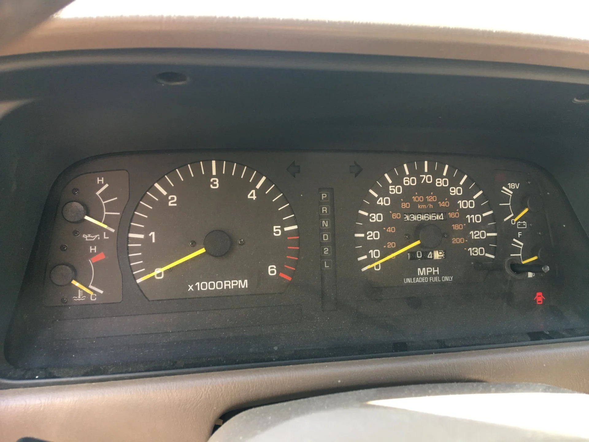 speedo.webp