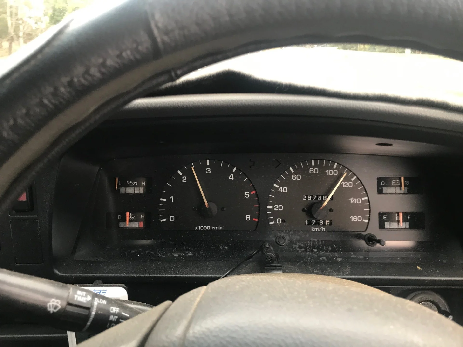 Speedo.webp