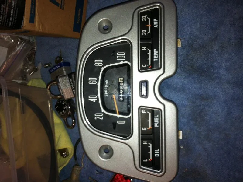 speedo.webp