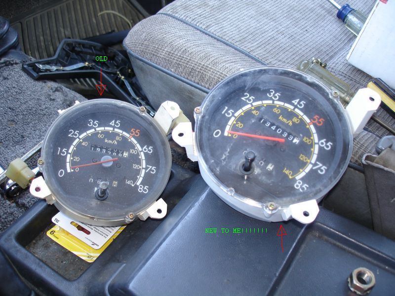 speedo2.jpg