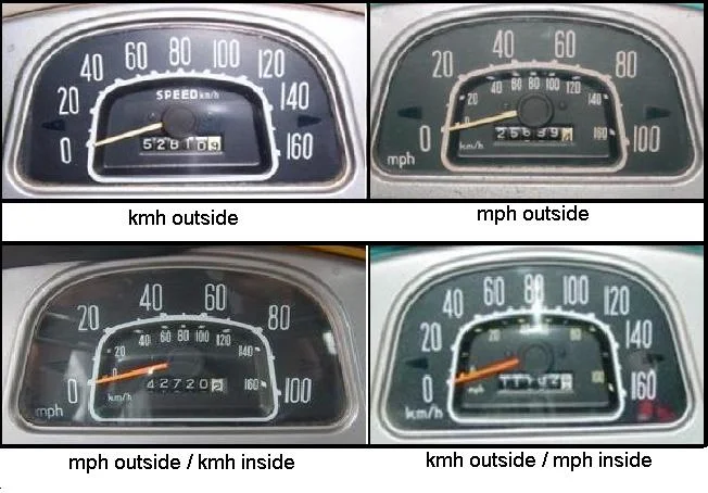 speedo_faces.webp