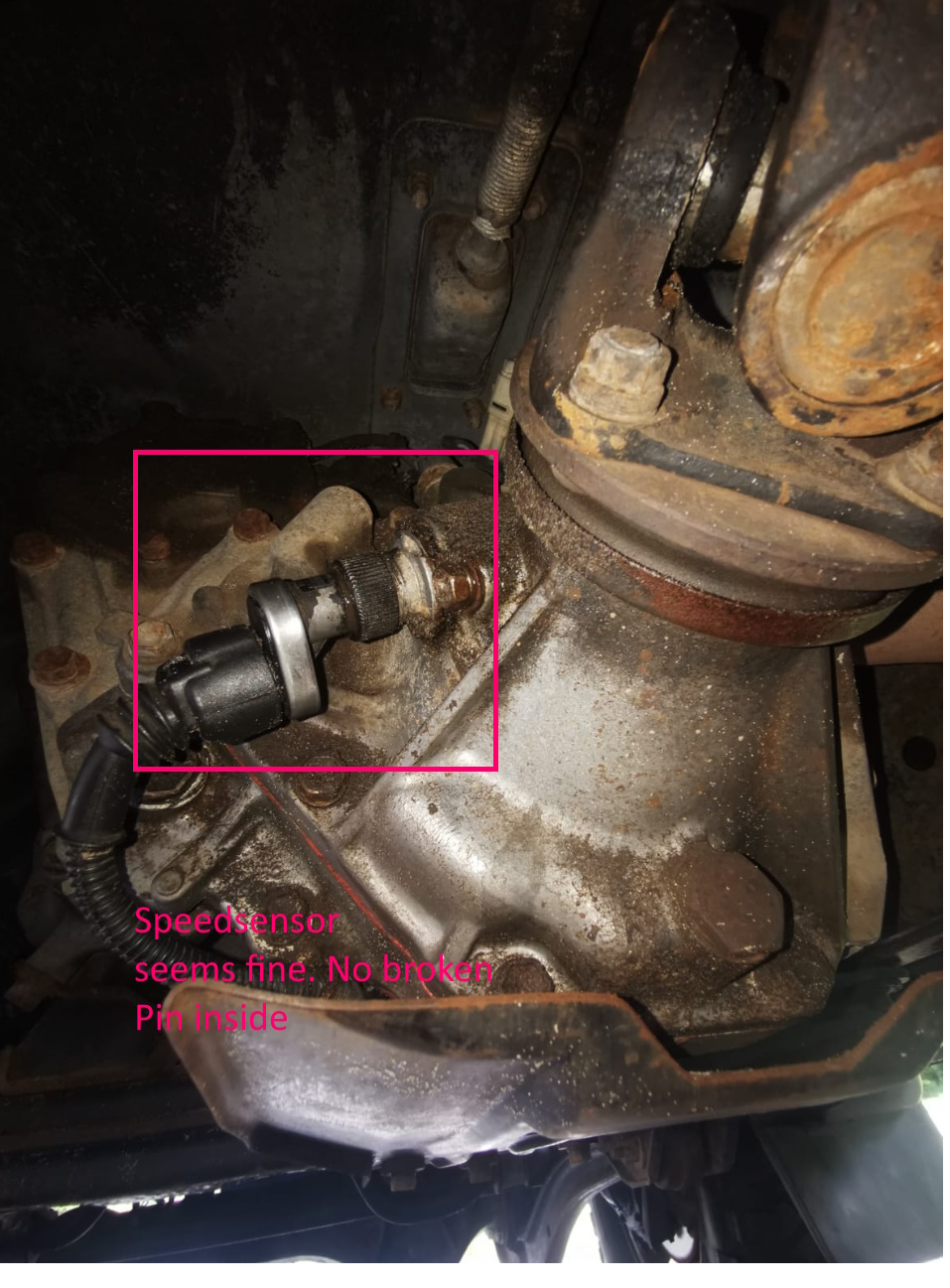 Speedsensor.jpg