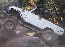 spider_pigrun2001_070_mf_sm.jpg