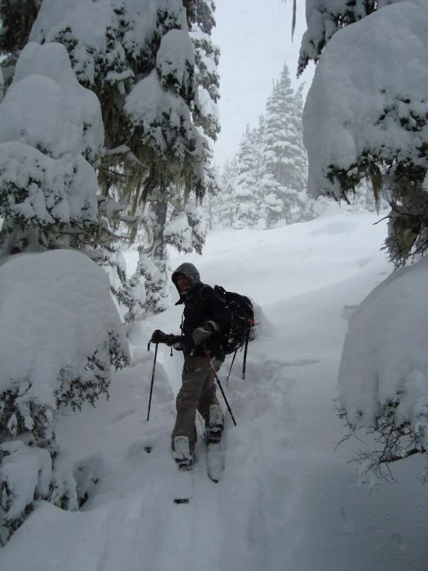 split boarding.webp