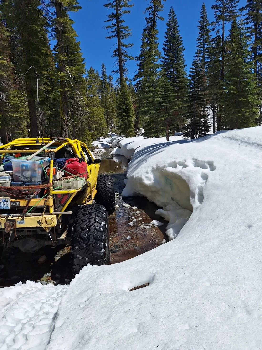 springRubicon2024.webp