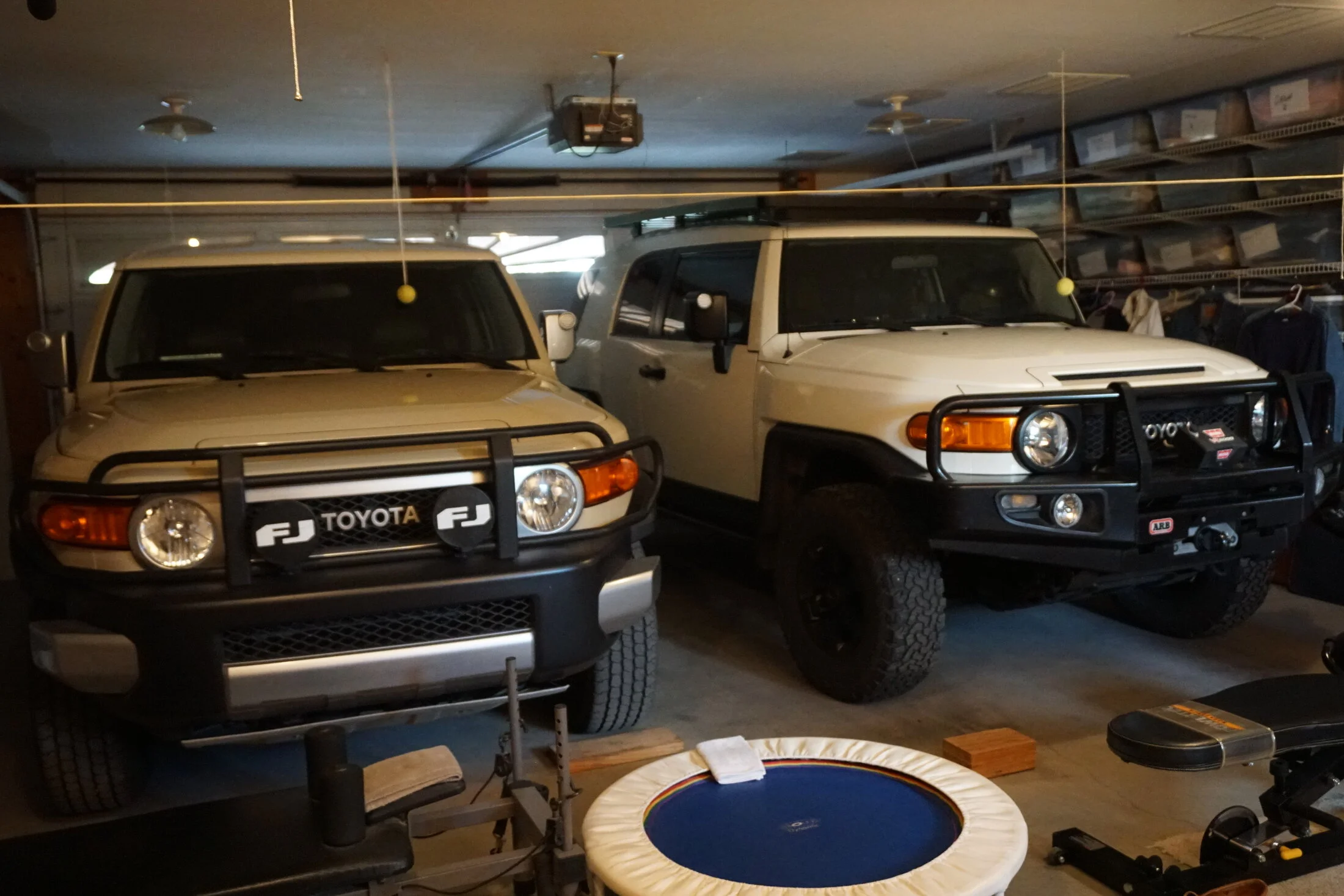 Stablemates.webp