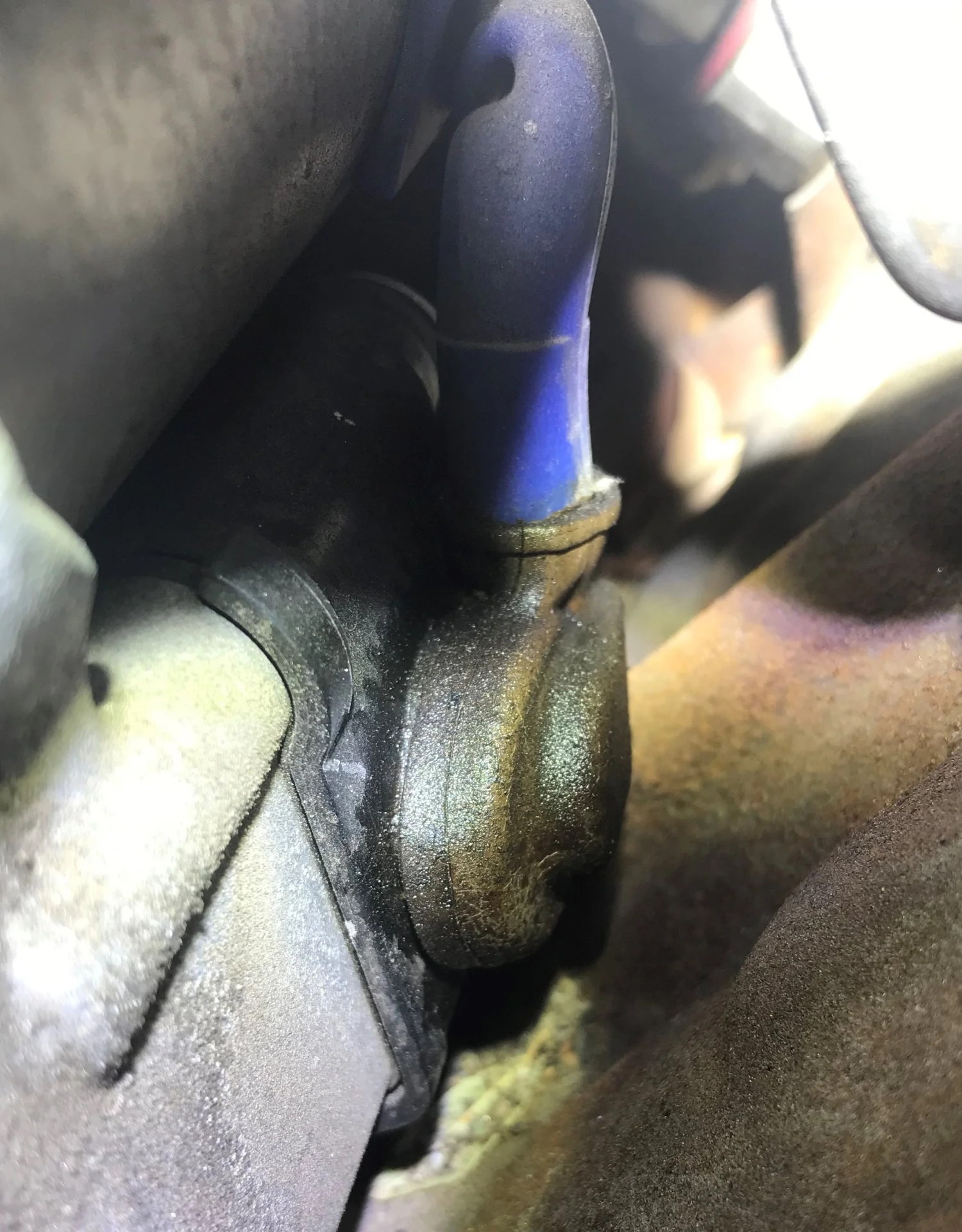 Starter Oil Leak.webp