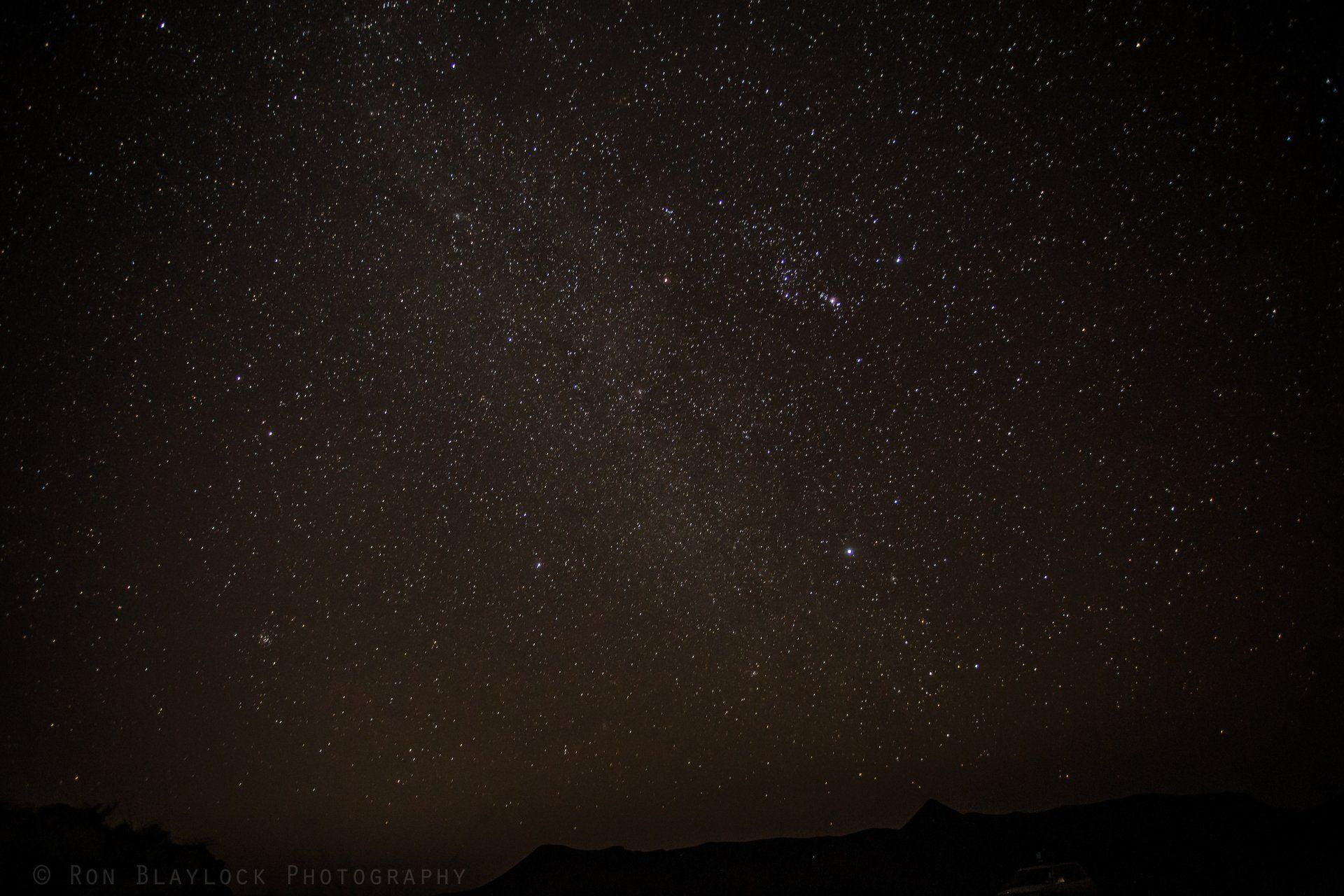 starts at Guale.jpg