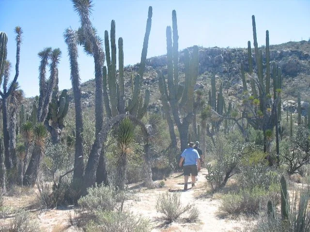 stay_on_trail.webp