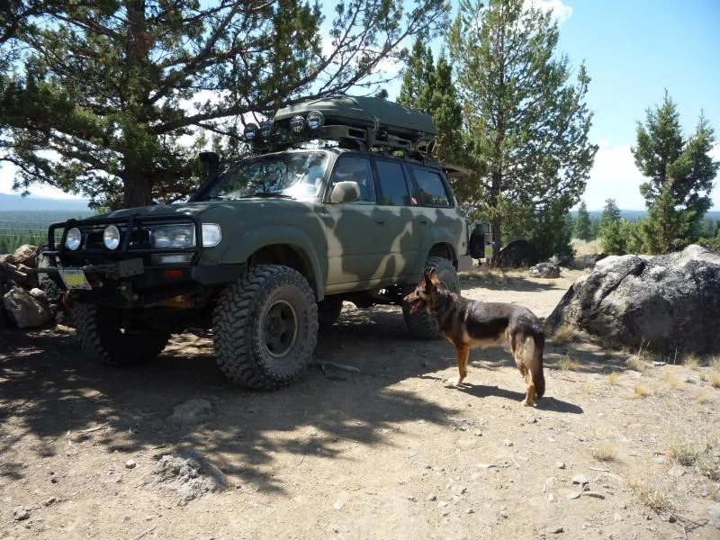 Steens 2008 040.webp