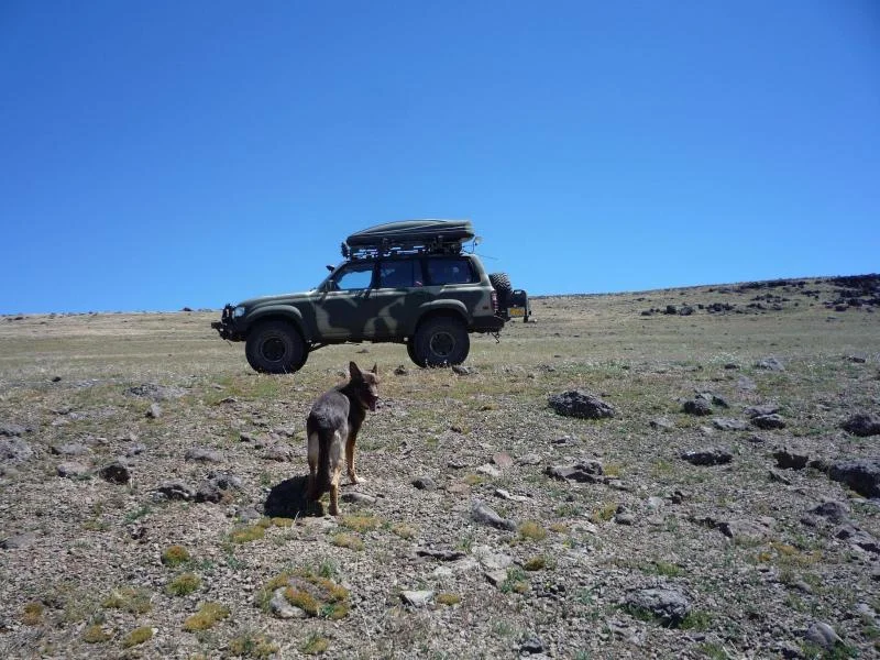 Steens 2008 187.webp