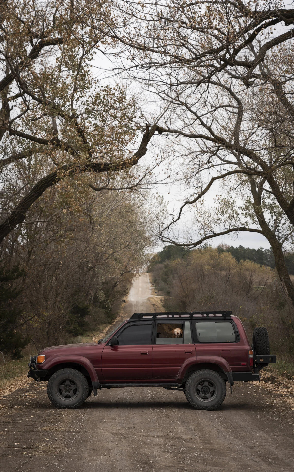 Stick Season-4.webp