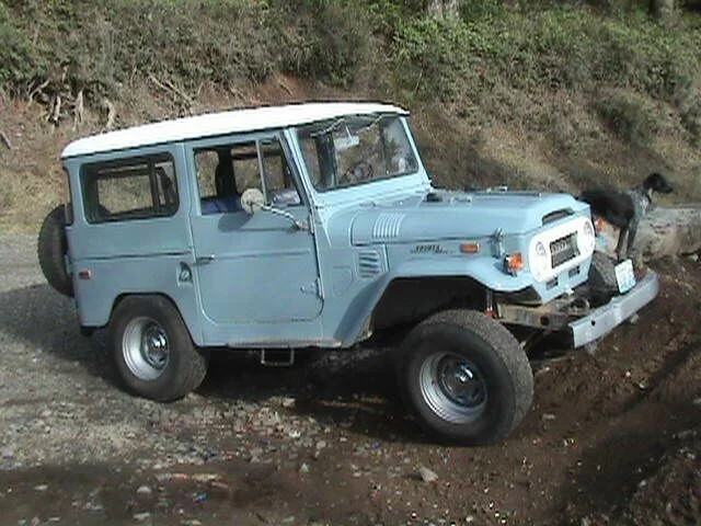 stock flex0001.webp