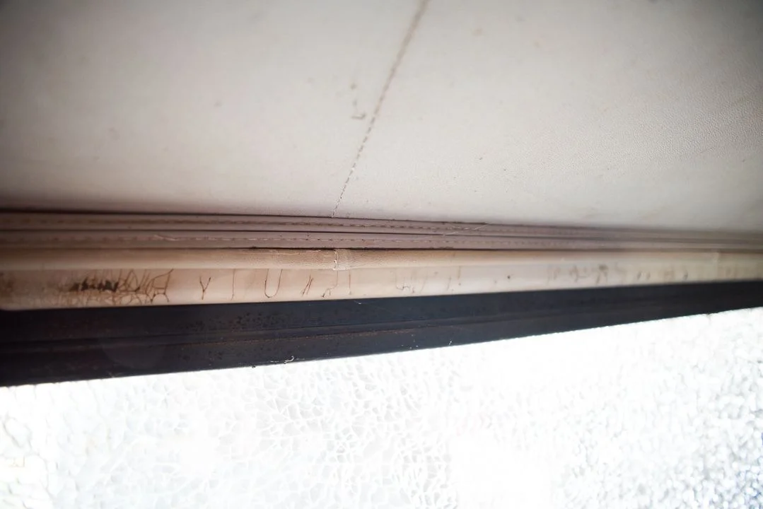 STP_2459.webp