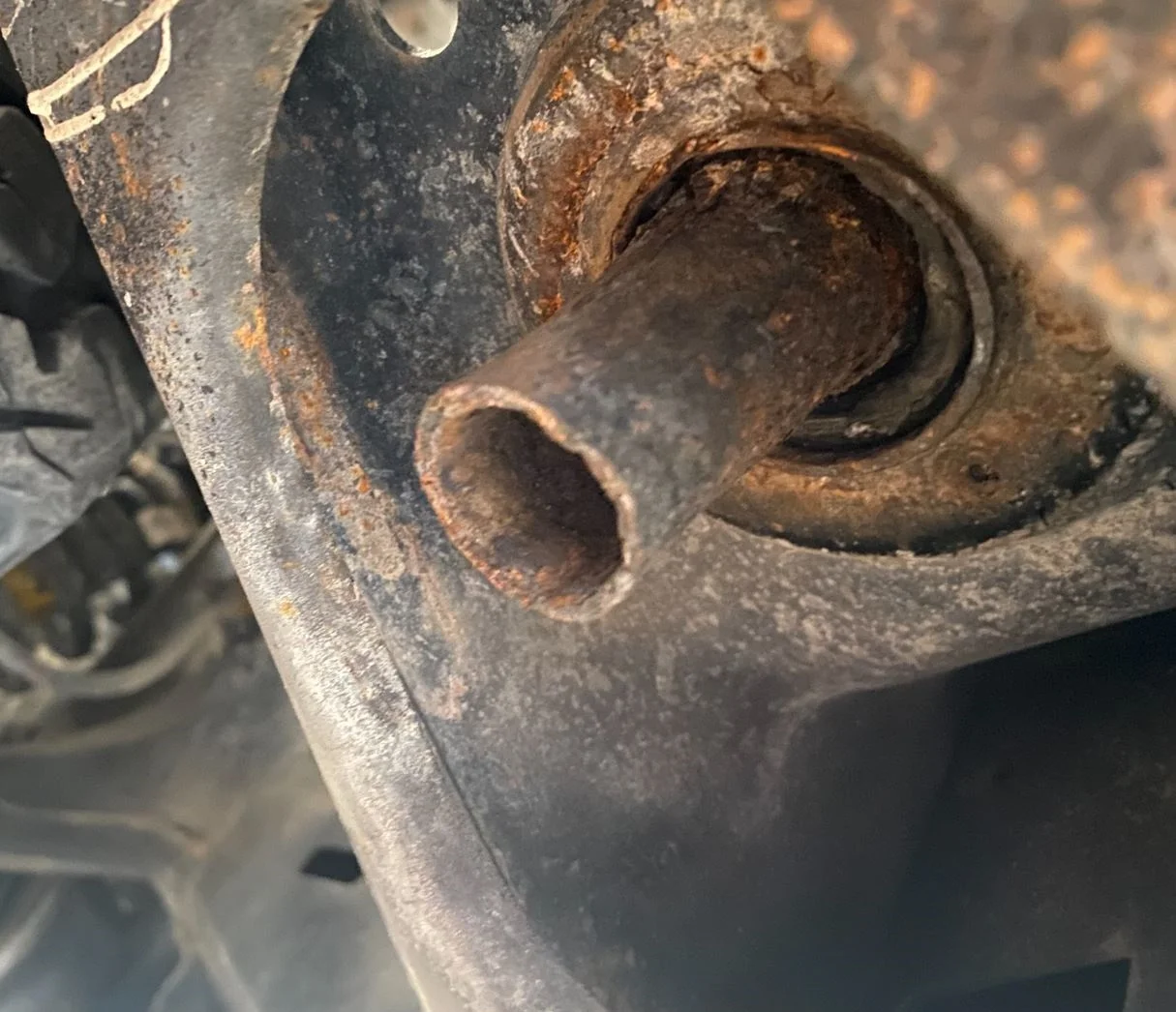 stubby after.JPG