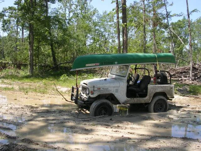 stuck in the mud 2.webp