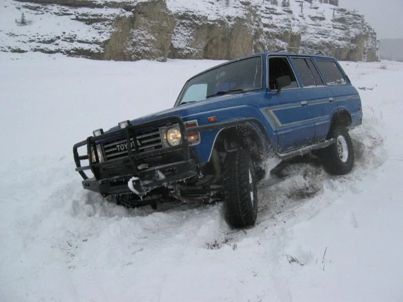 Stuck lola.webp