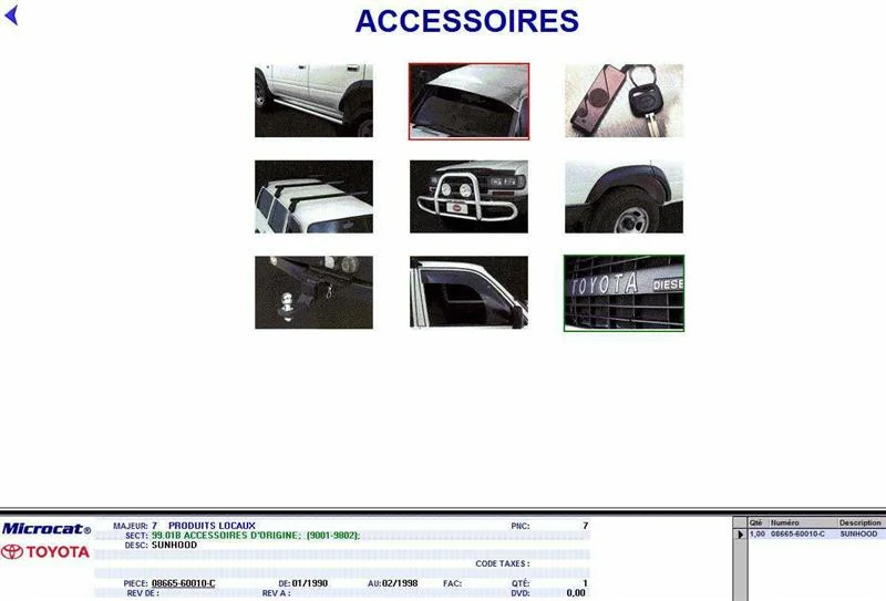 Sunhood (Medium).webp