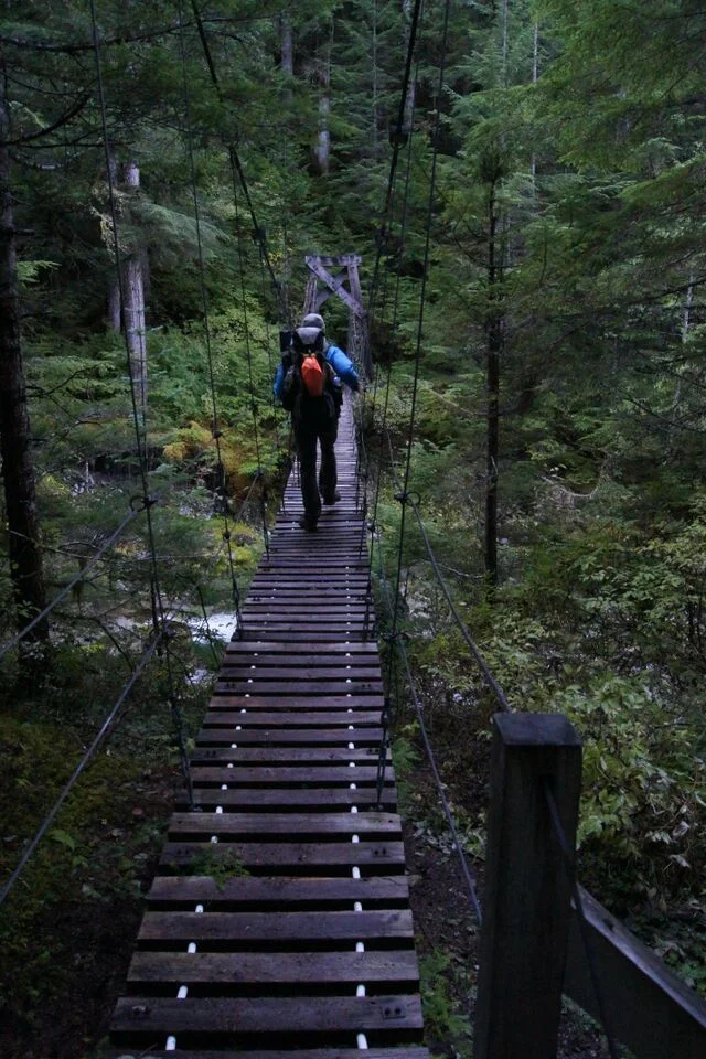 Suspension Bridge.webp