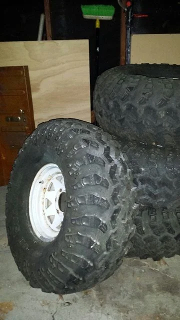 swampers3.webp