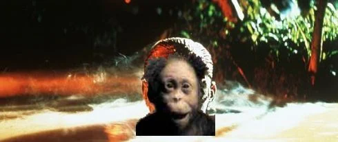 Swampy_Greg.webp