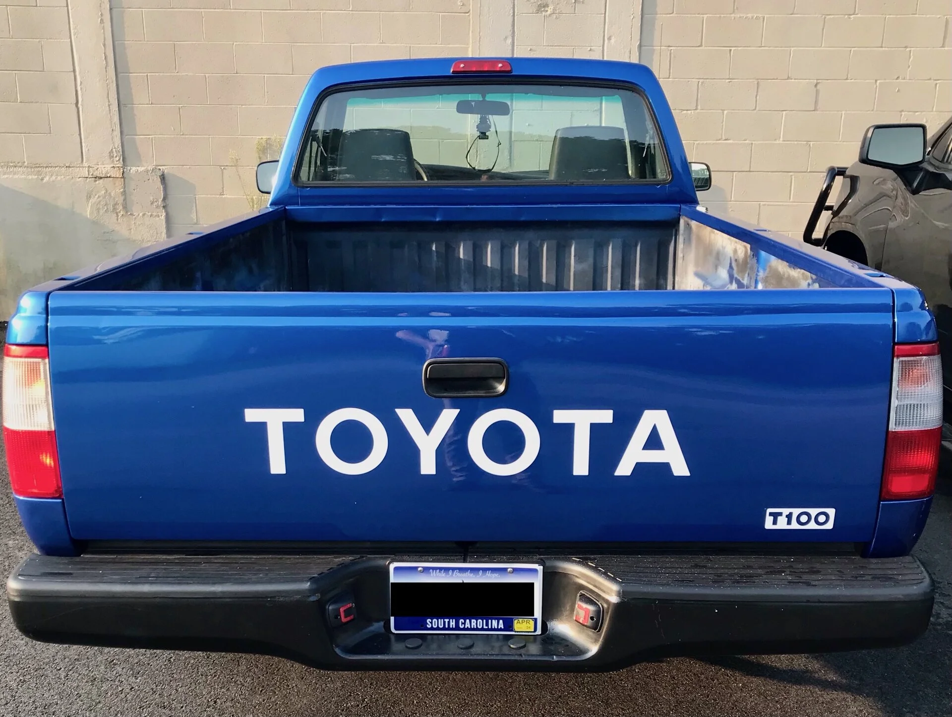 T100 decals.webp