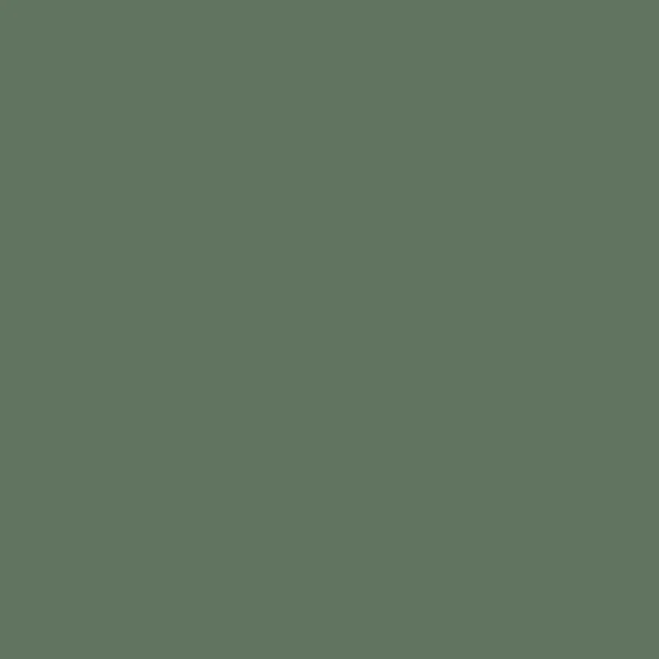 T303 Fashion Green square.webp