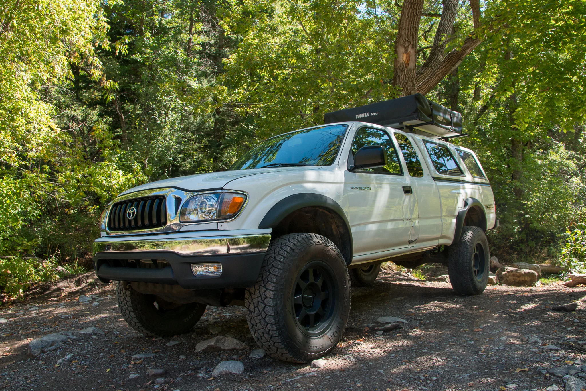 Taco 2002-40.webp