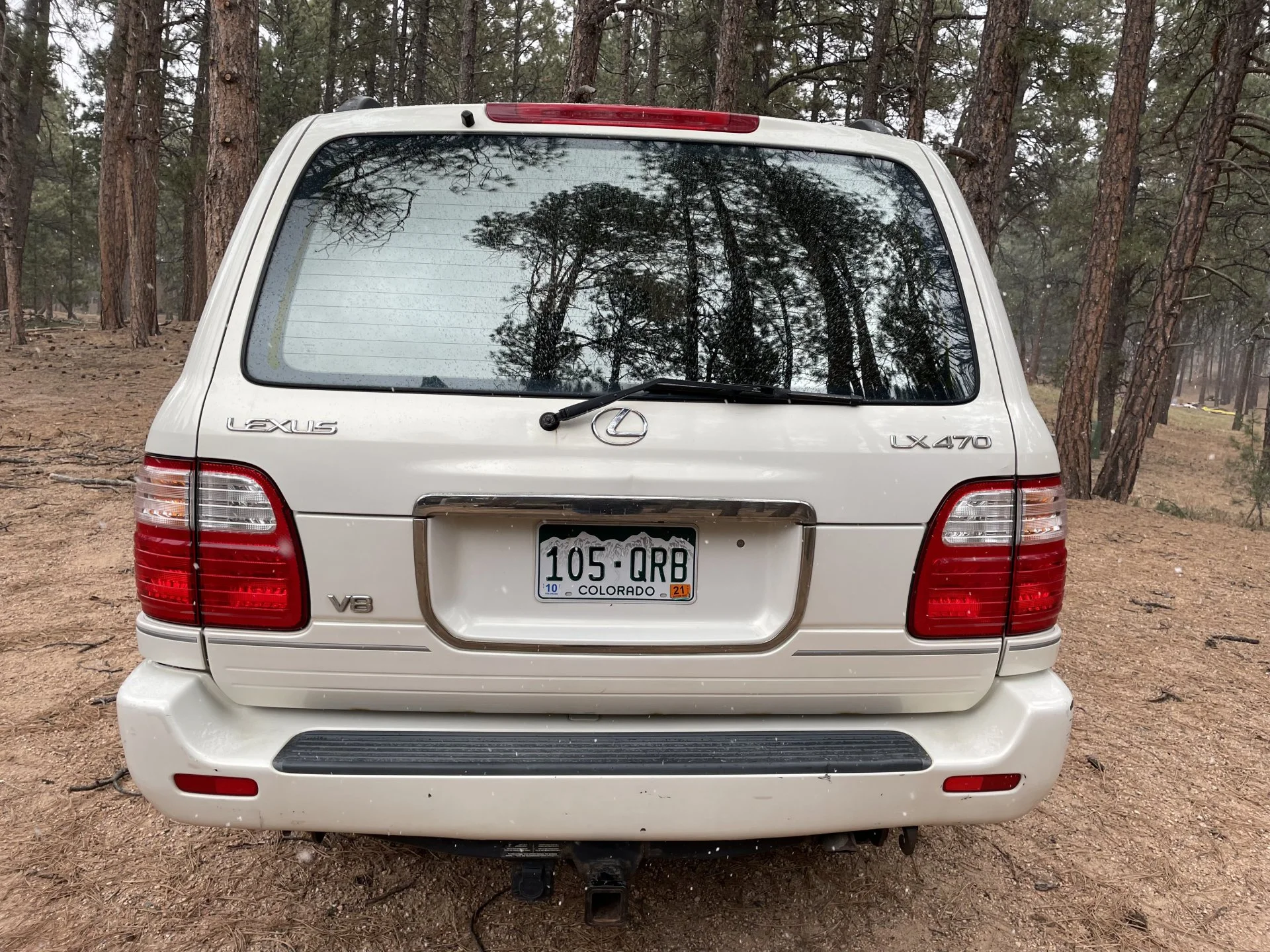 tailgate.webp