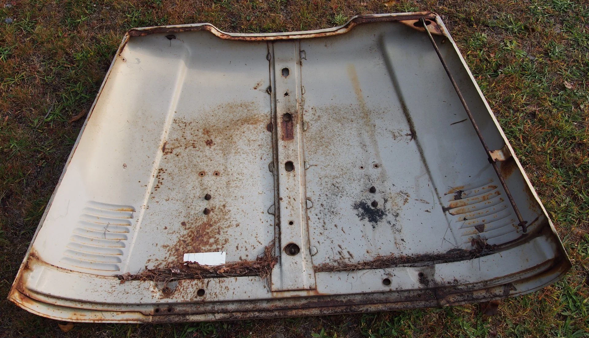 Tan hood underside.webp