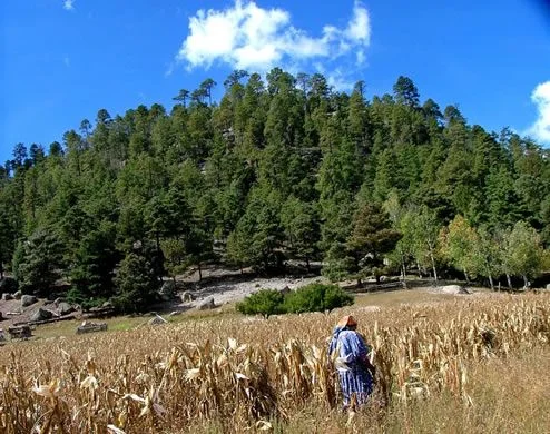 tarahumaran_woman.webp