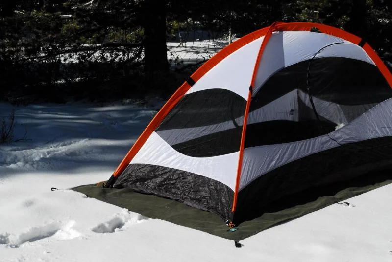 Tarp 13.webp