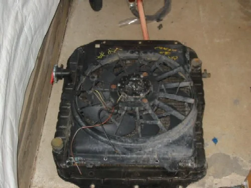 taurus fan.webp