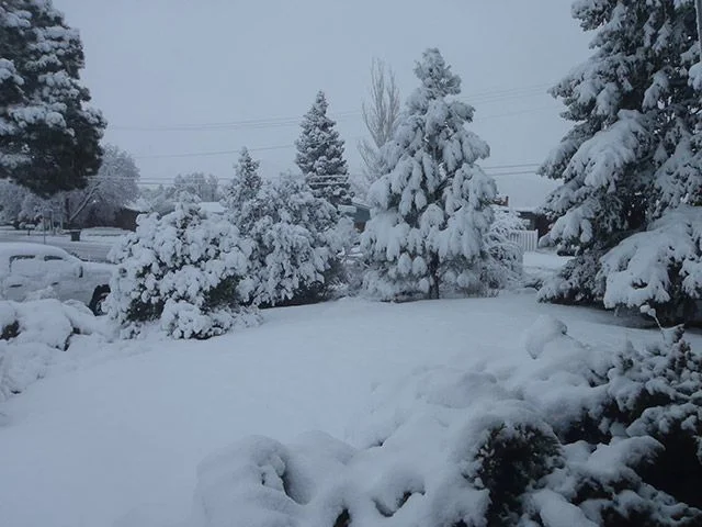Tax-Day-Snow.webp