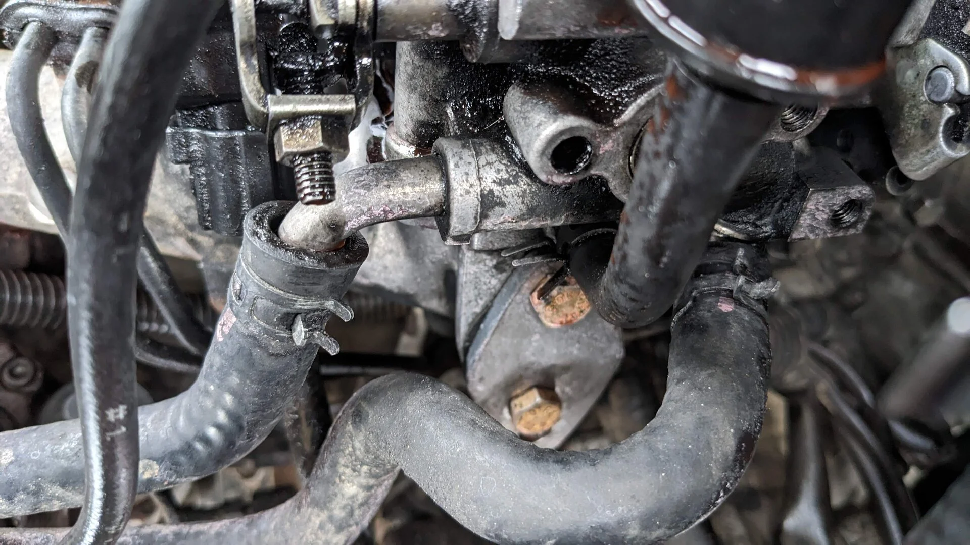 TB hoses.jpg
