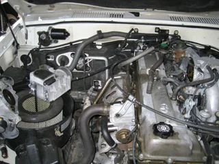 TB, IAC, PCV, MAF 01.12.08 002 copy.webp