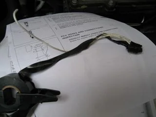 TB, IAC, PCV, MAF 01.12.08 021 copy.webp