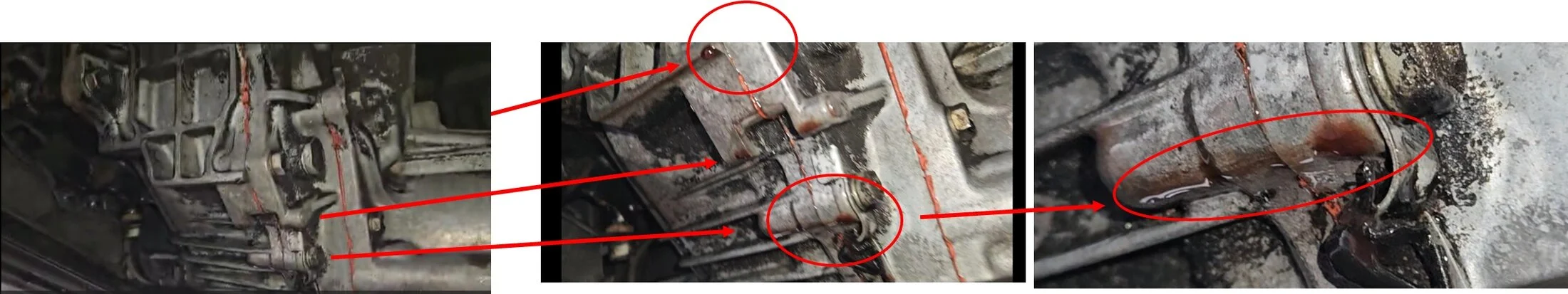 TC leak.webp