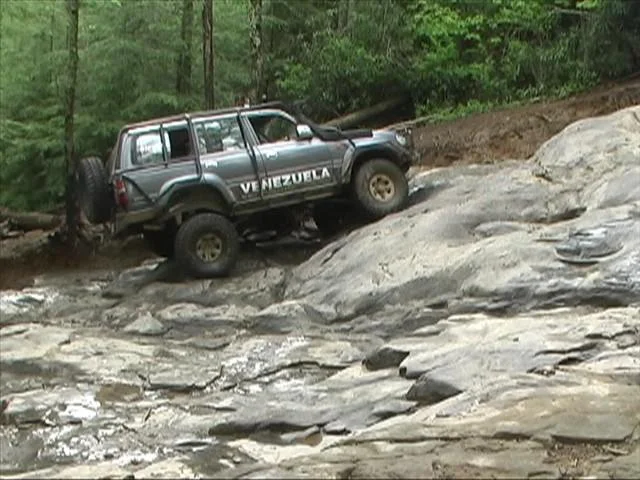tellico 12 (Small).webp
