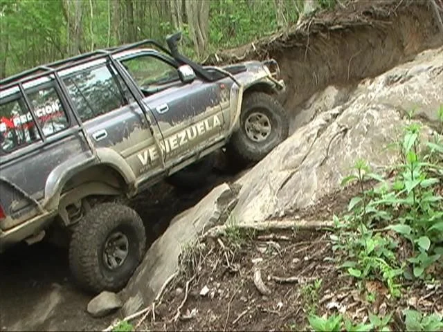 tellico 21 (Small).webp