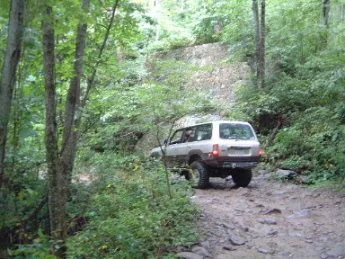 tellico2.webp