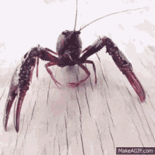 tenor.gif