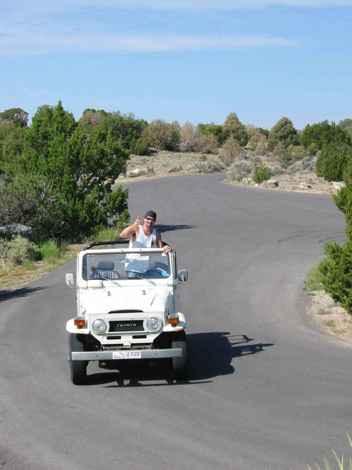 The_landcruiser[1].webp
